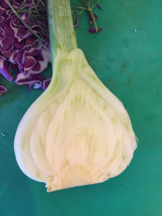 Picture of fennel